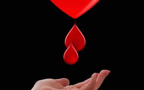 honorowi-dawcy-krwi-w-polsce-coraz-wiecej-benefitow-i-inicjatyw-edukacyjnych